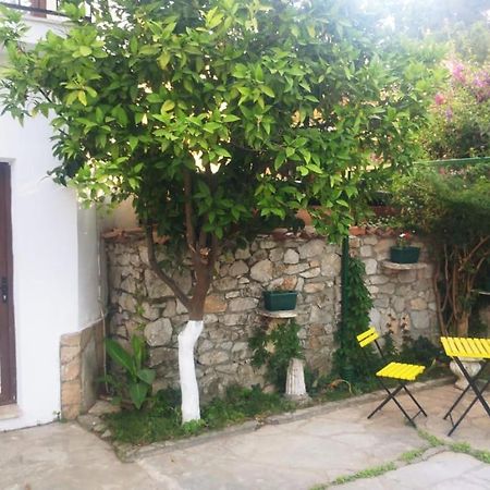 Nehir Dalyan Boutique Otel Ortaca  Luaran gambar